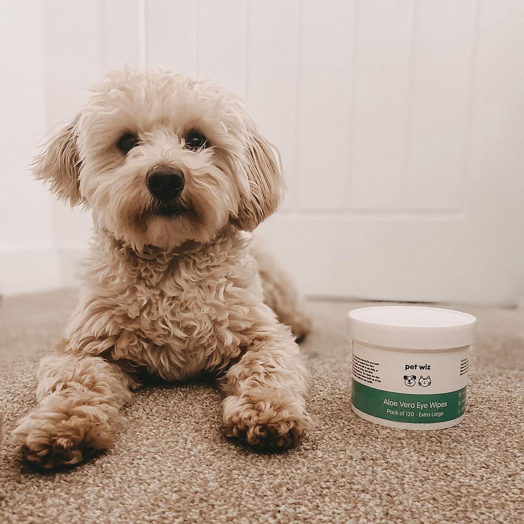Aloe Vera Eye Wipes for Cleaning Dogs & Cats - Pack of 120 - XL