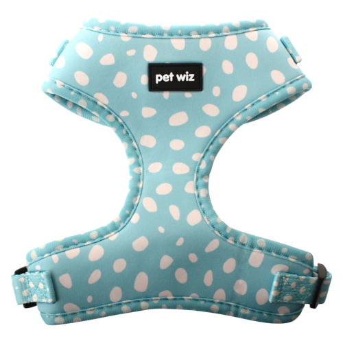 Harness - 3 Patterns Available