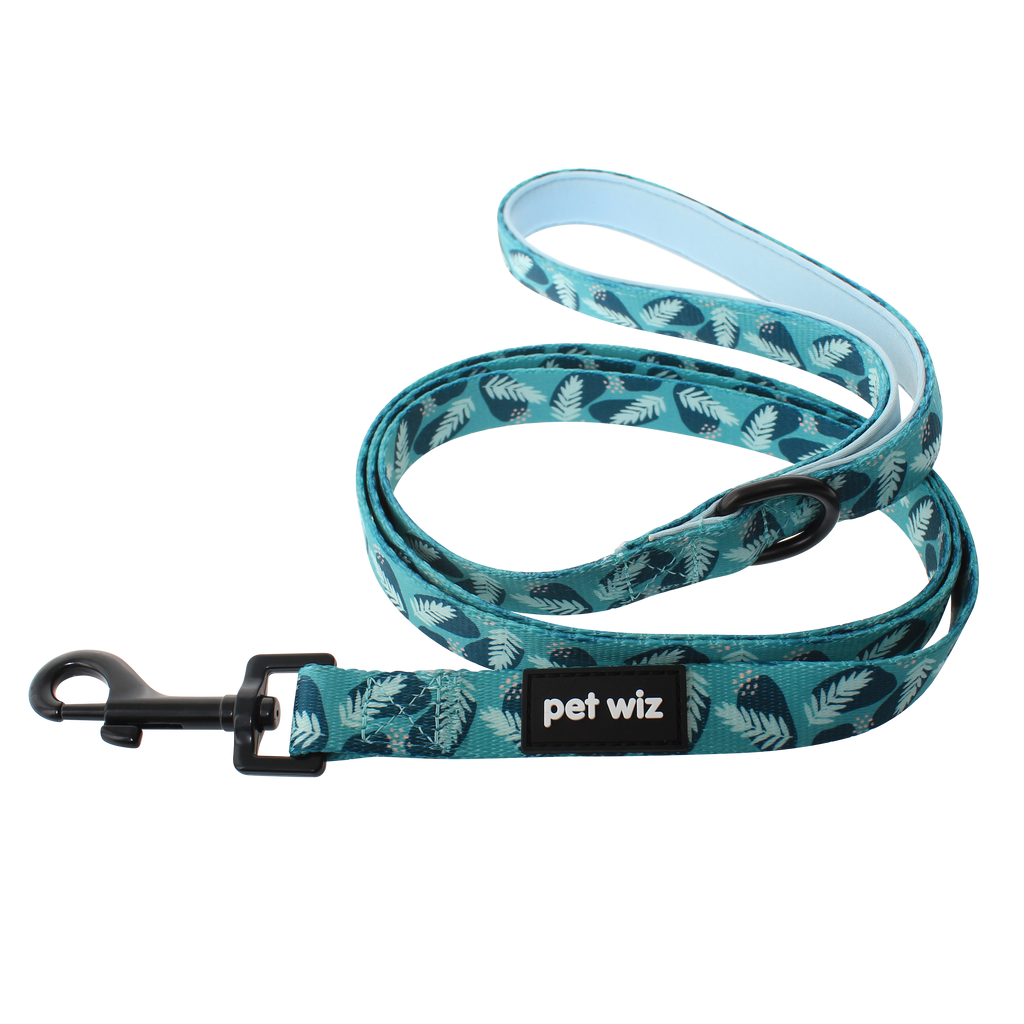 Lead - 3 Patterns Available