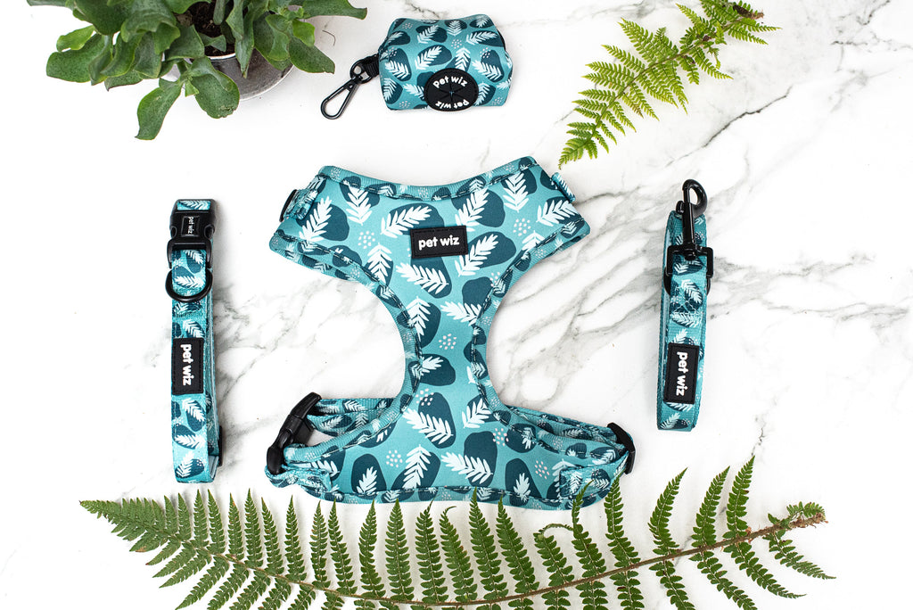 Lead - 3 Patterns Available
